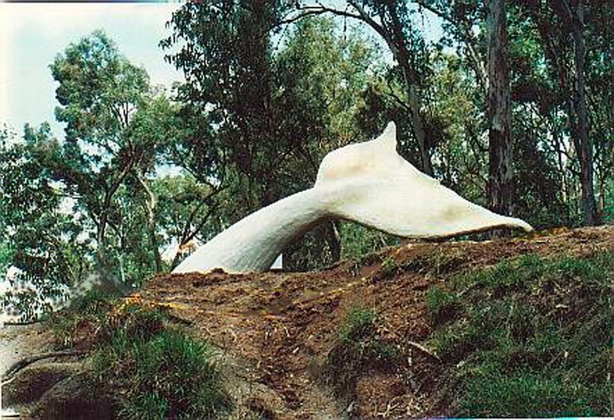 Obra pública / Arte público _ Amor a la creación _ Franklin Zúñiga _ Bosque los Colomos, Guadalajara, México